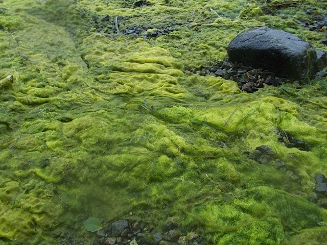 Beautiful places and the contradictions of wilderness adventures – plus Chasing Clayoquot (an excellent&nbsp;read!)