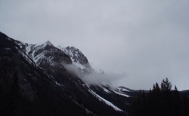 A monochrome Field day for PlaidCamper – and a tiny house obsession&nbsp;revealed…