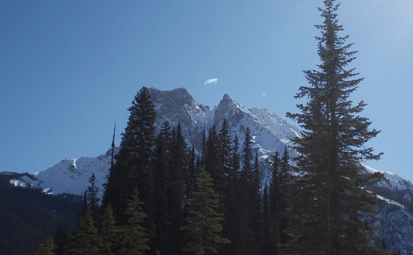 Yoho in colour, a Dickens of a fish – and who was Dolly&nbsp;Varden?