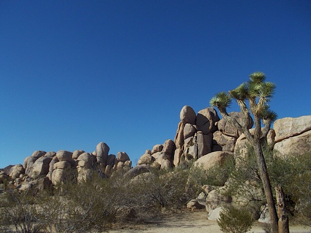 Bug spray and bear spray – stories of scuttling and fluttering  creatures…