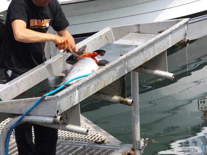 Maybe they will fish for a living?