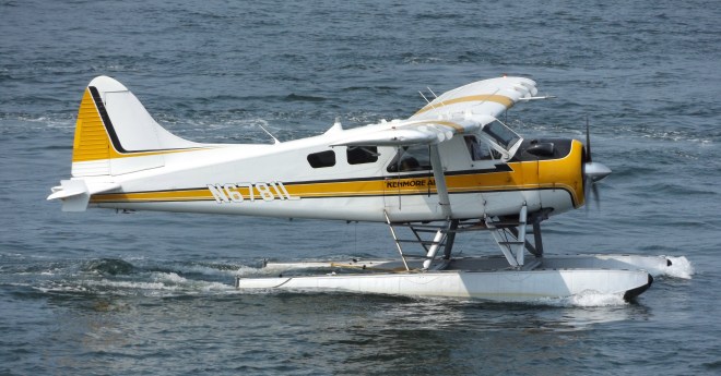 An exciting way to travel!