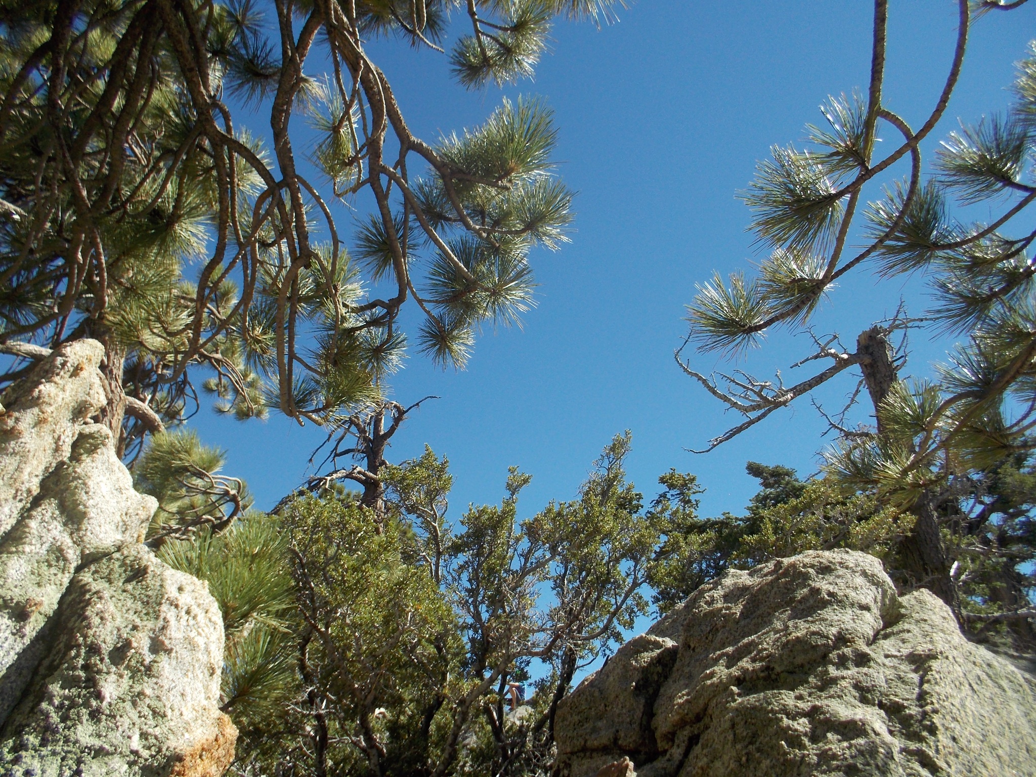 Fresh air and cooler temperatures compared to the desert floor