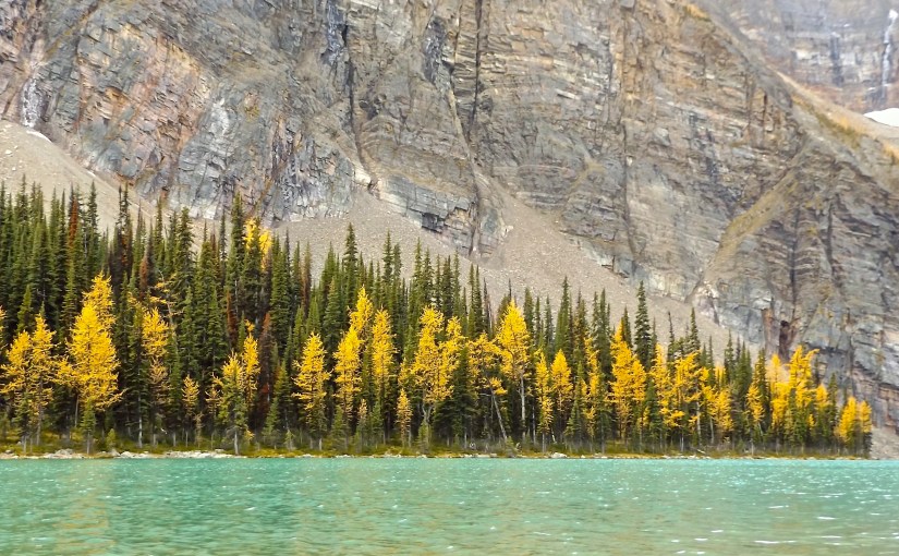 Rocky Mountain Fall (a fast&nbsp;season)