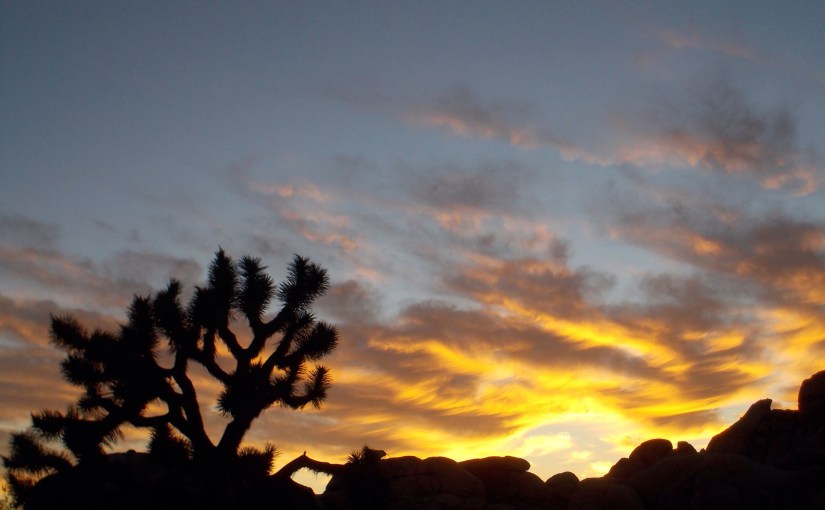 Desert yearnings and a colourful&nbsp;sunset!