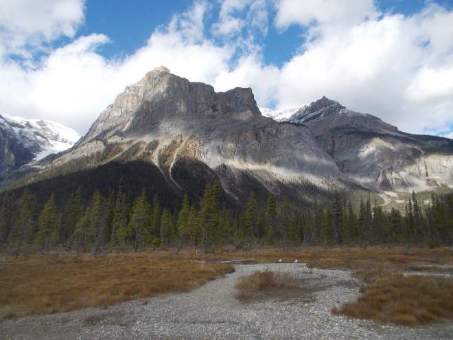 The sediment is growing, and the lake slowly shrinking
