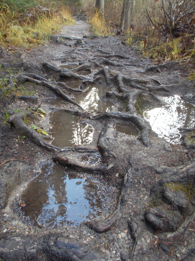 Another boot test (passed!)