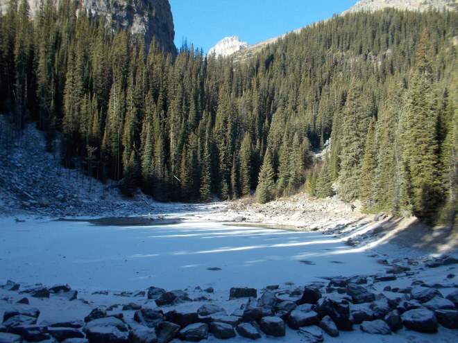 Will it be a severe winter? (I ask myself)