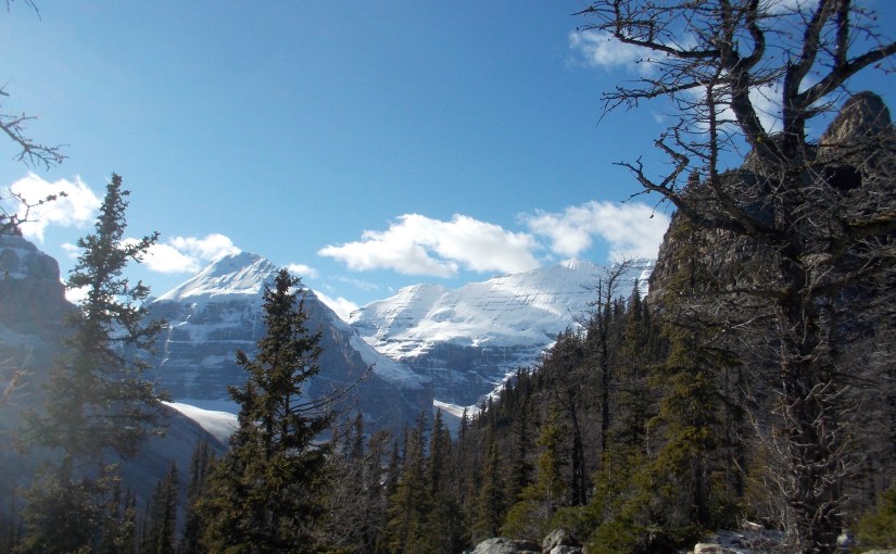 Desperation and thievery on the high&nbsp;trail…