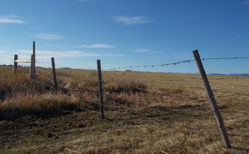 All time favourite wilderness movies (#3 in an occasional&nbsp;series…)