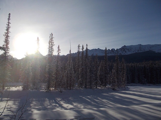 A holiday story and a&nbsp;picture…