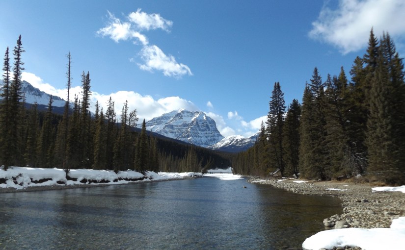 End of the line – all&nbsp;change!