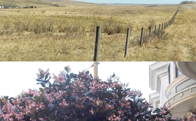 Twin springs rushing&nbsp;in…