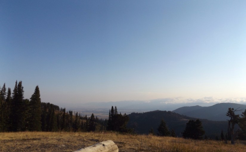 Beer bottle tops (and&nbsp;bullets)