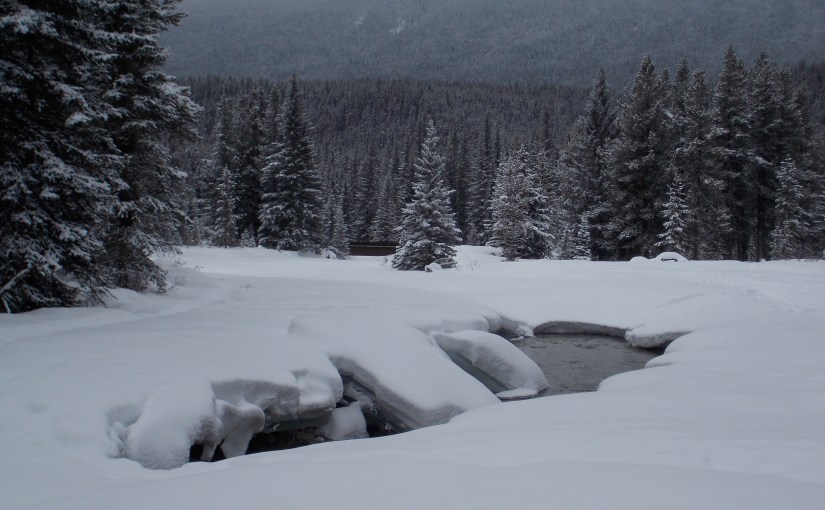 On the banks of the&nbsp;Bow