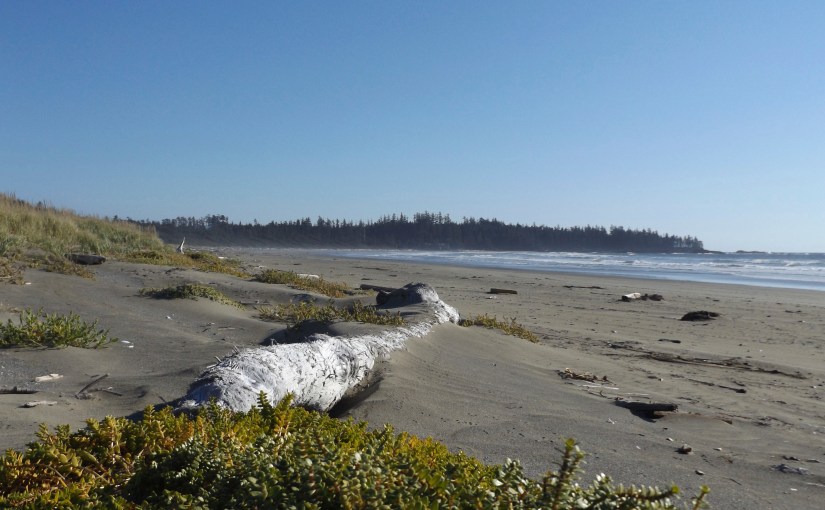 Logging some beach&nbsp;time…
