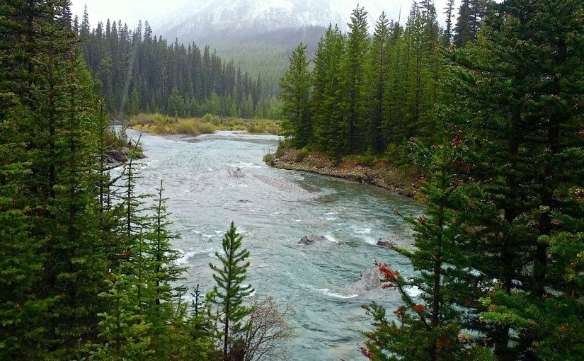 Good beer, a good book (and a good&nbsp;question?)