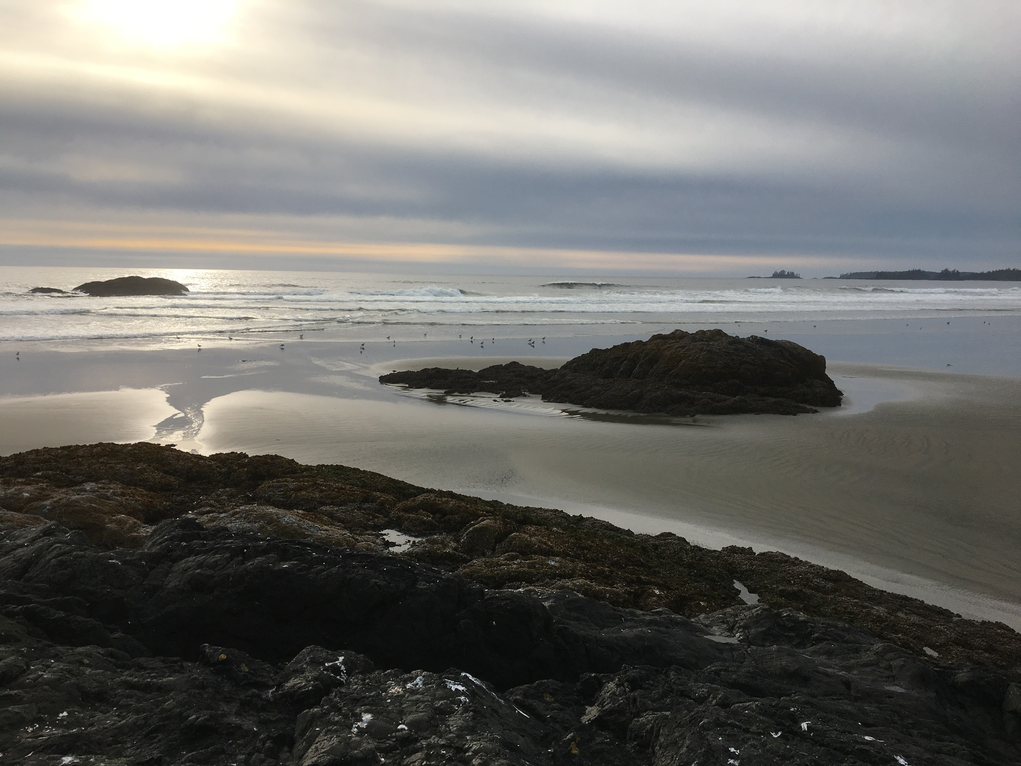 06B282BC-CEE0-4913-B099-2B2B453E44F0