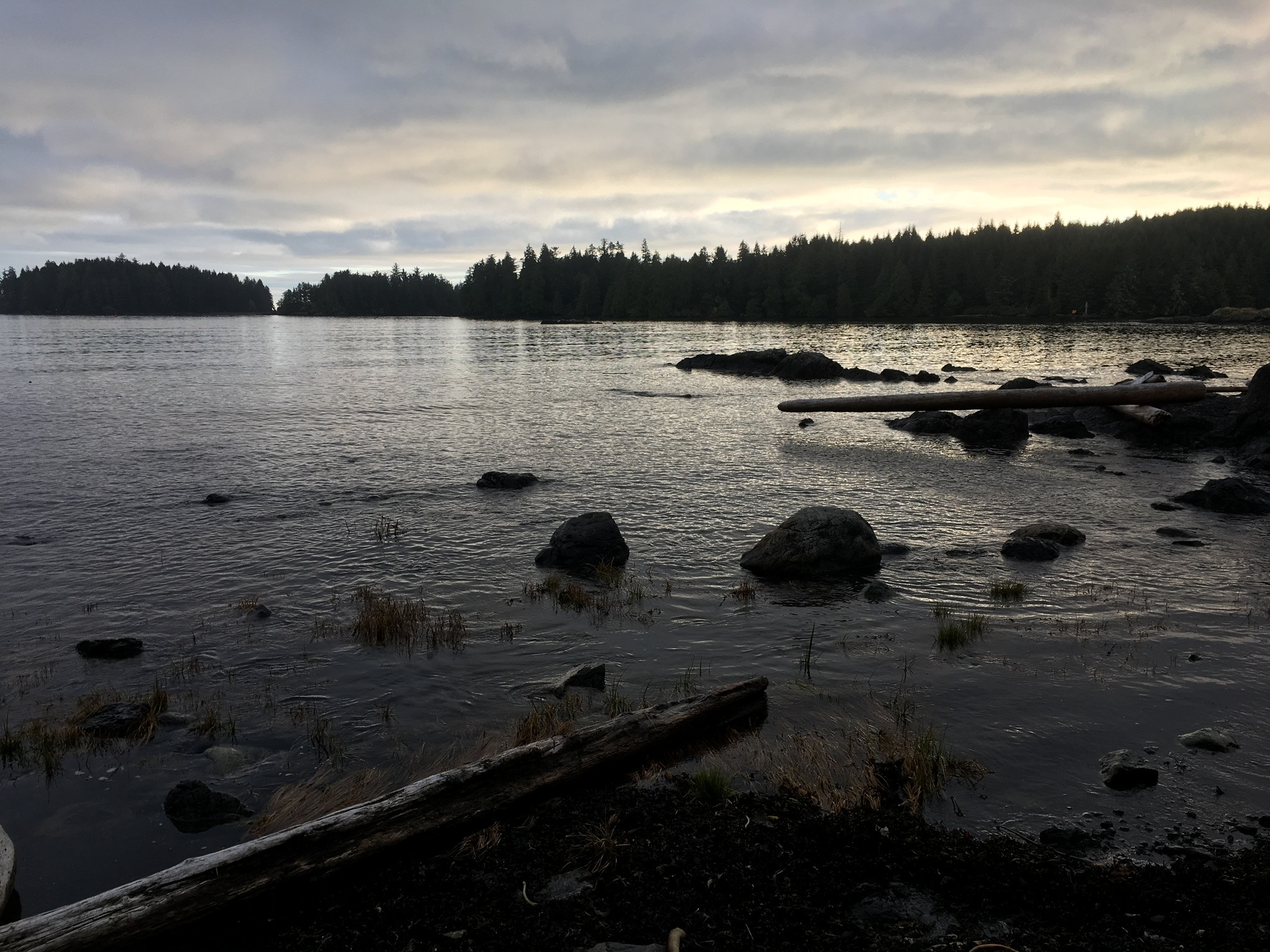 170A9F91-8A78-4F57-AC16-9F75804E8129