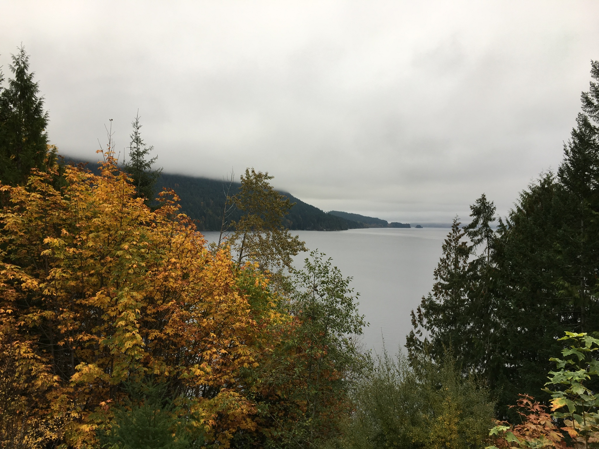 6CD30665-7293-49FF-8F20-A103D2AE1C39