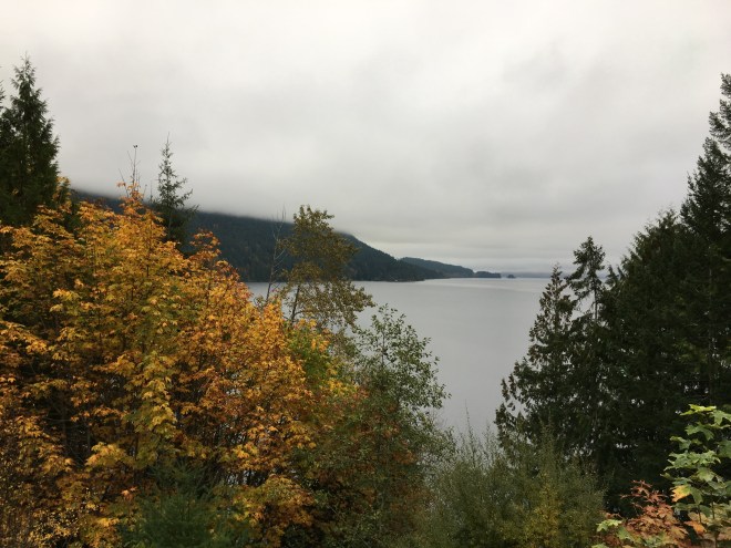 6CD30665-7293-49FF-8F20-A103D2AE1C39