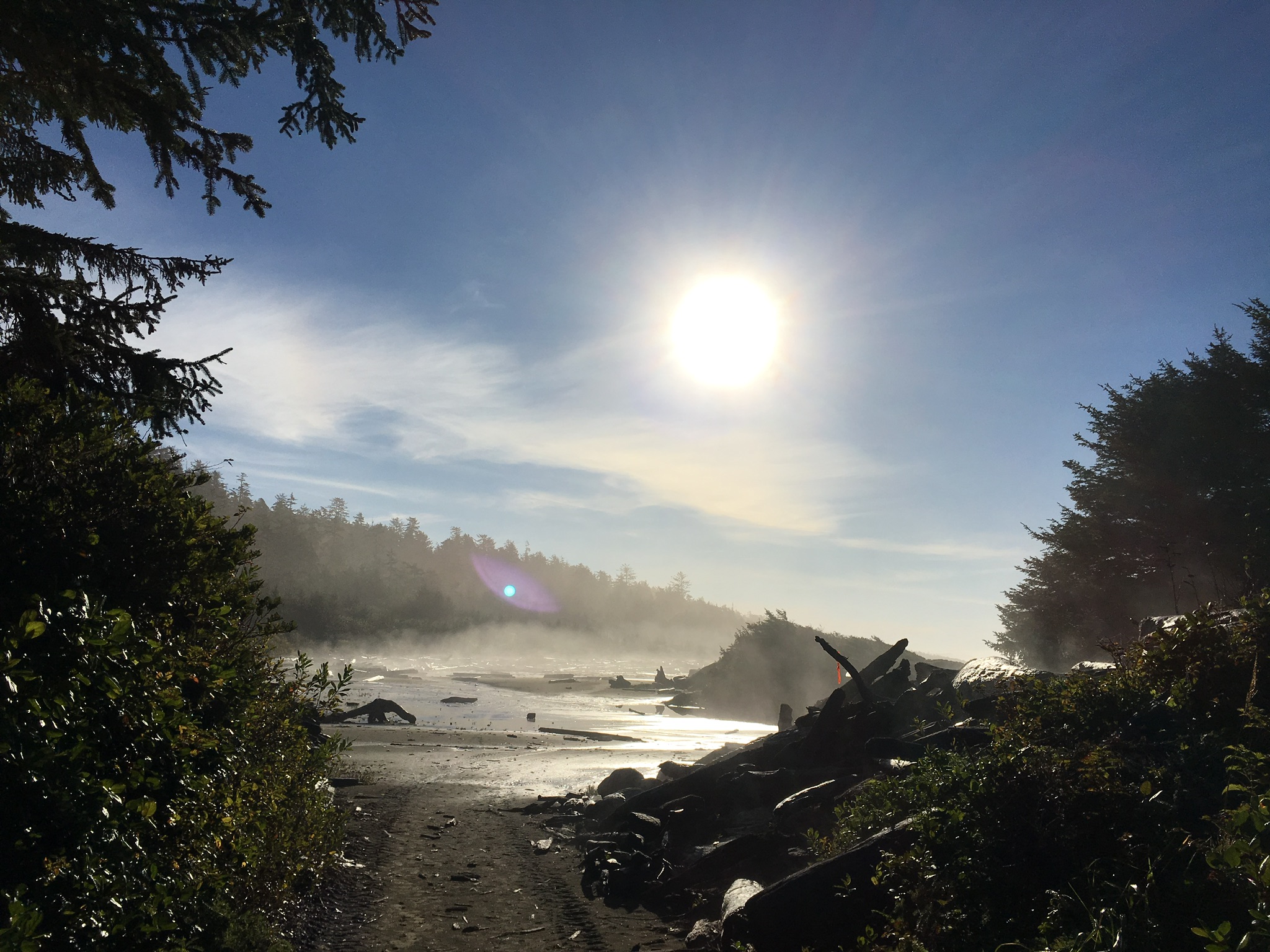 B7C06A23-D7C7-487C-9015-5EBDC61A0225