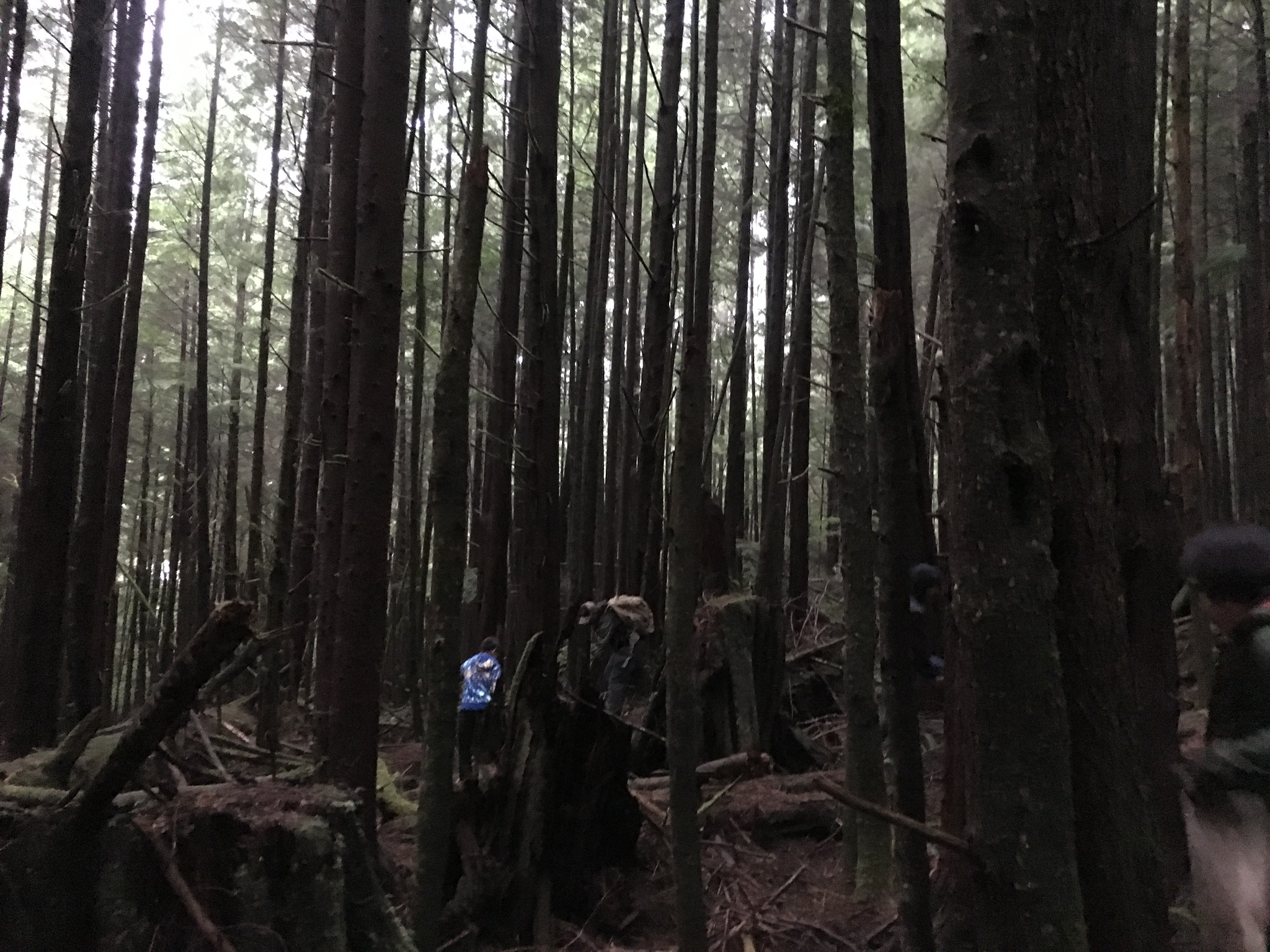 DC0D26ED-8975-4E33-9270-FB1EE452DA07