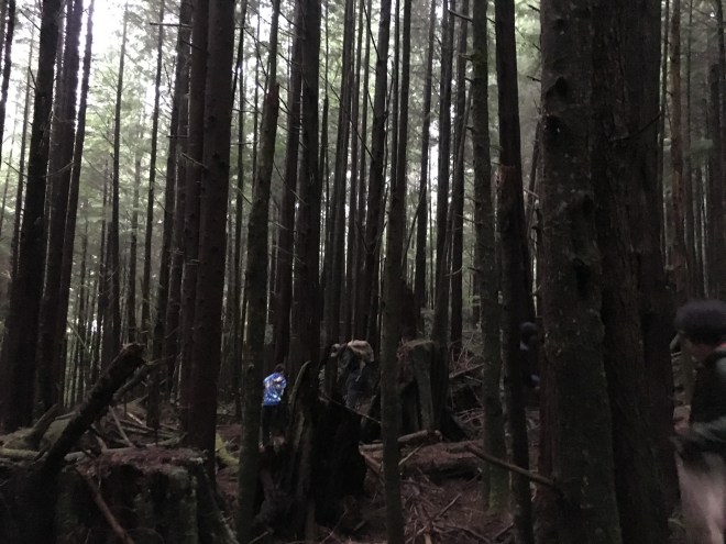 DC0D26ED-8975-4E33-9270-FB1EE452DA07