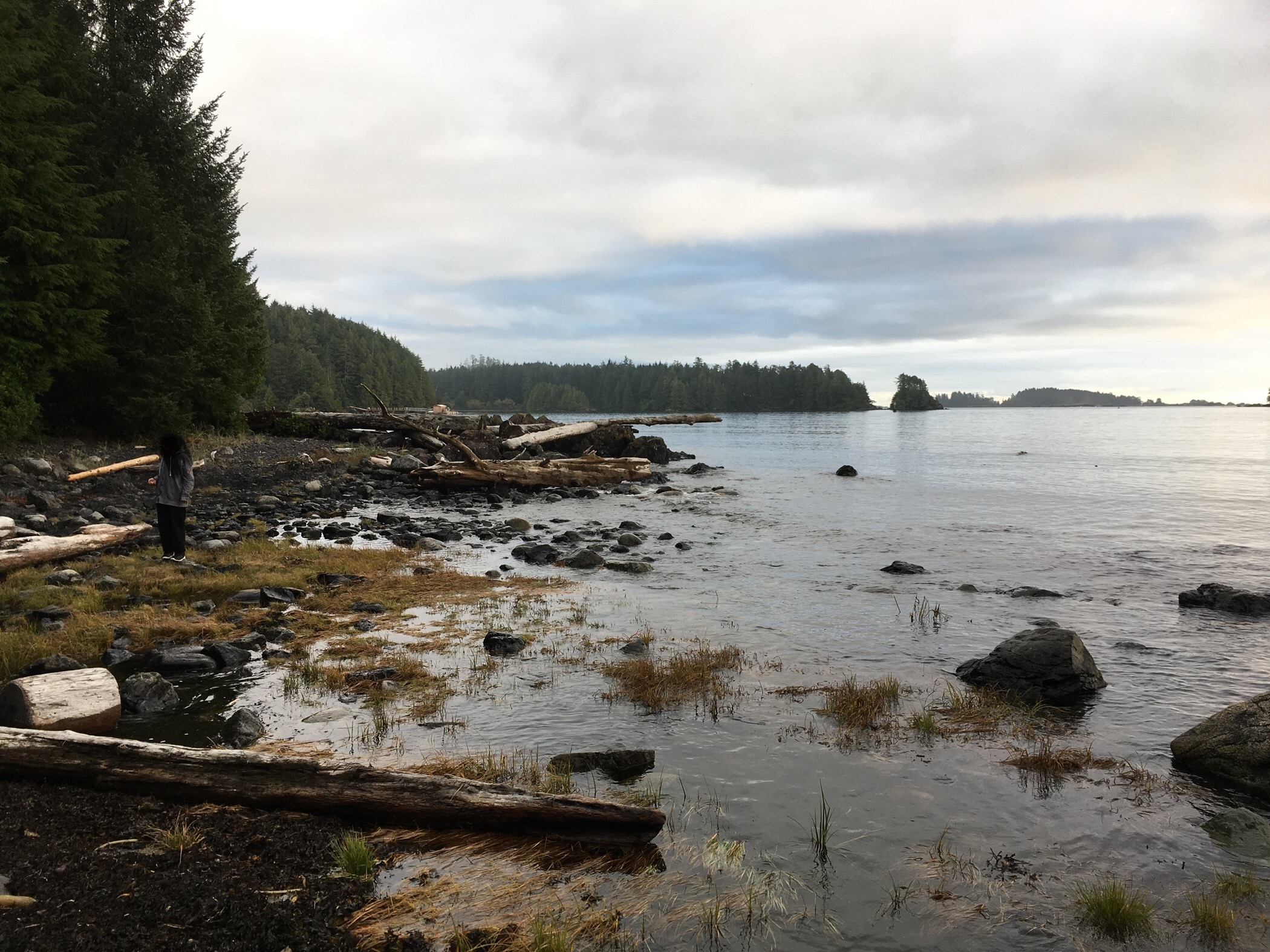 FE15B0D1-766E-47CE-832B-D50F59E19089