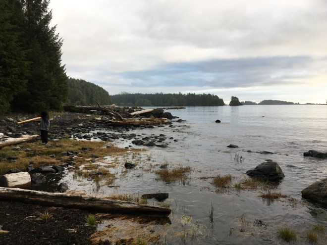 FE15B0D1-766E-47CE-832B-D50F59E19089