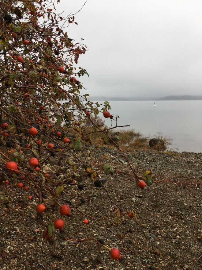 FE333BDA-074D-4715-B2C2-8007B6938C33