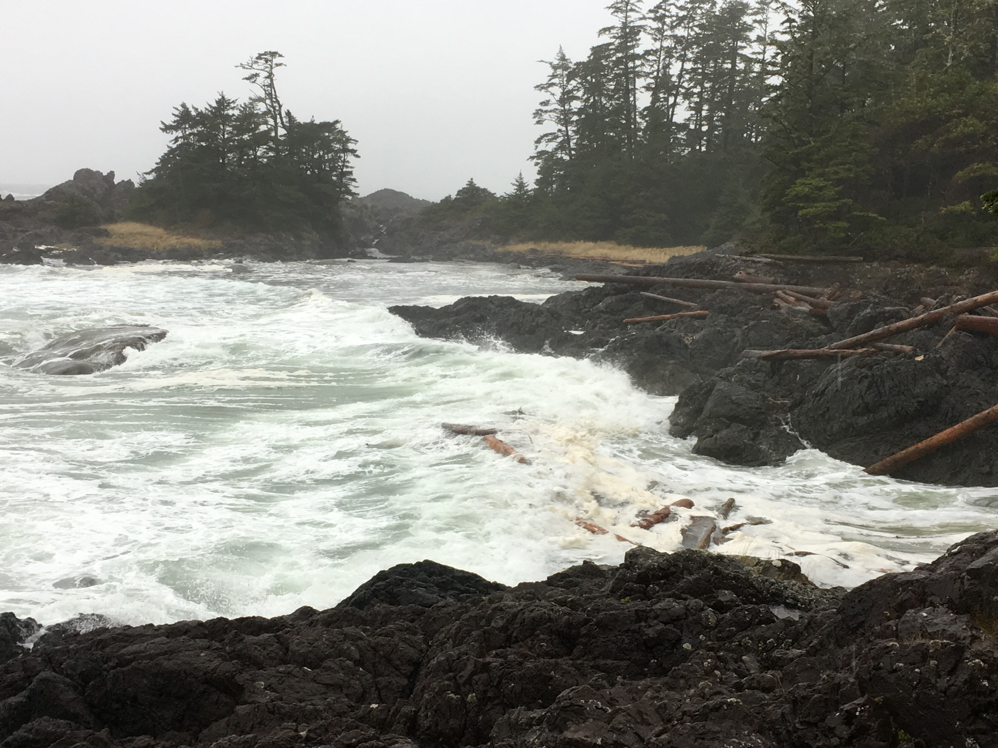 3AA71CF5-50C5-4484-A7AD-4660546E01FD