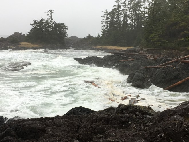 3AA71CF5-50C5-4484-A7AD-4660546E01FD