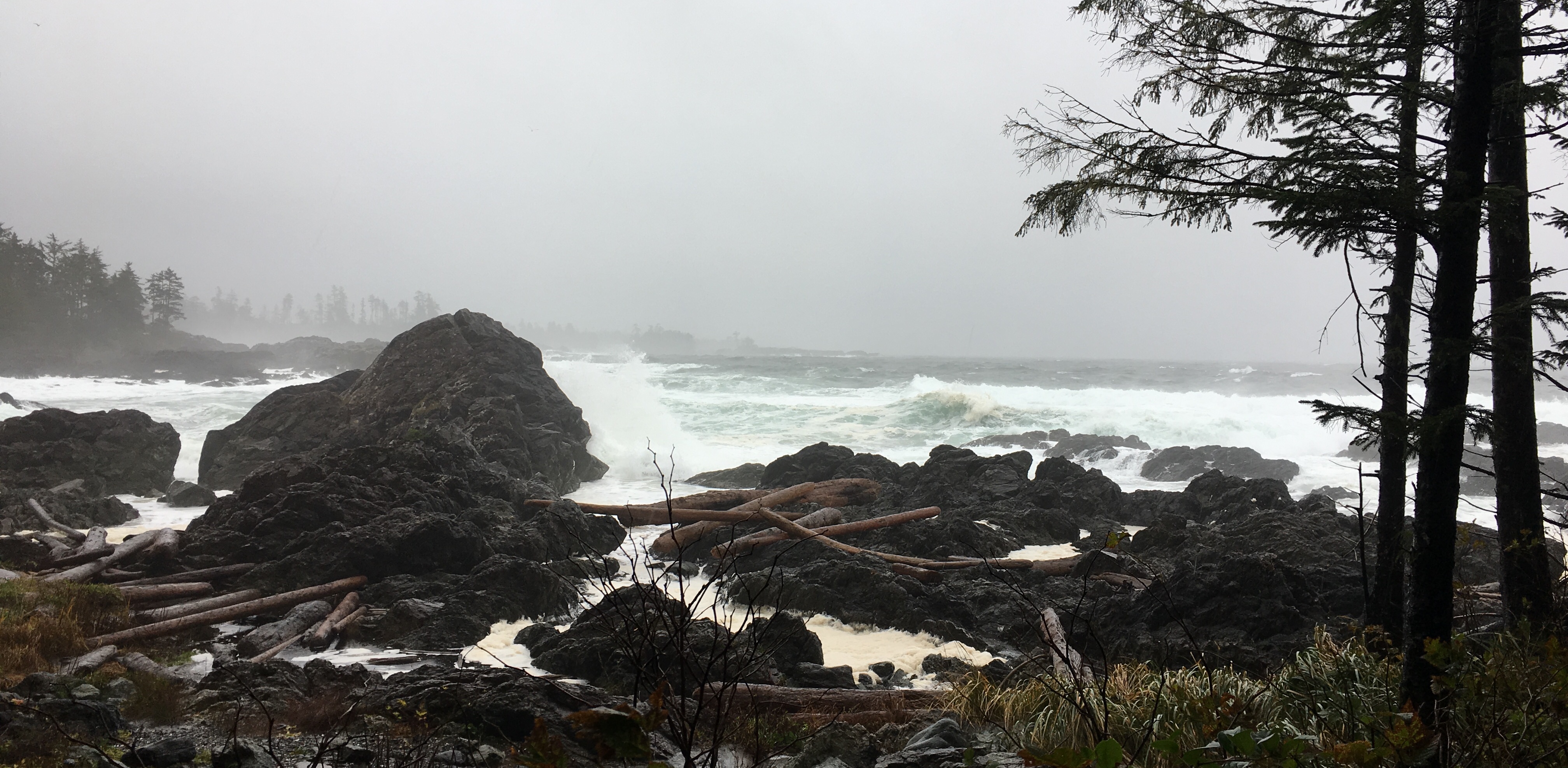 42533ED9-0613-4106-98FA-934CBCDDE85D