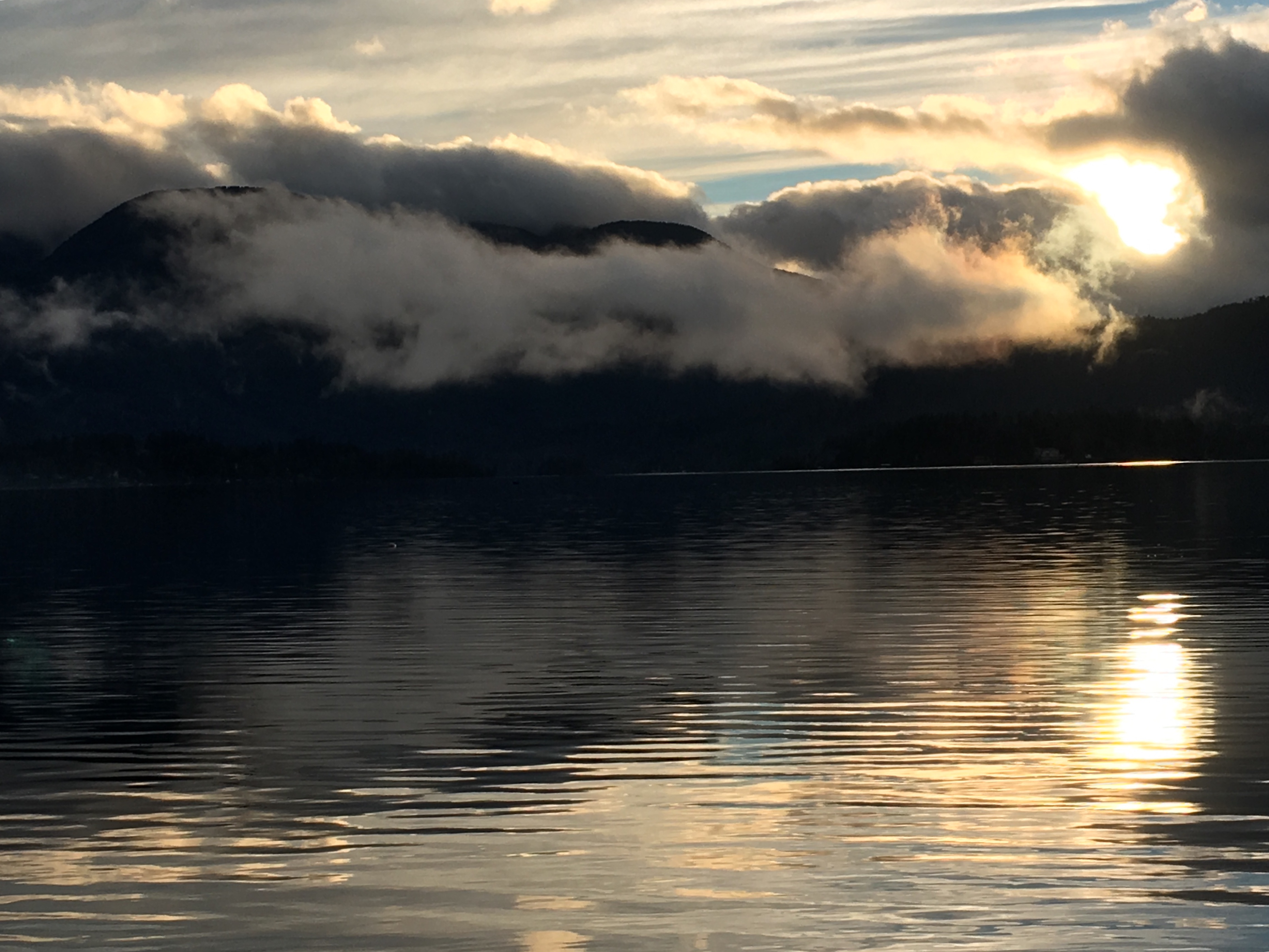 4AE4FD95-BDDA-4BAE-8B2E-61E9D8785F14