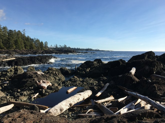 5649EF22-342E-4EFD-A6BE-C2FD190E53F5