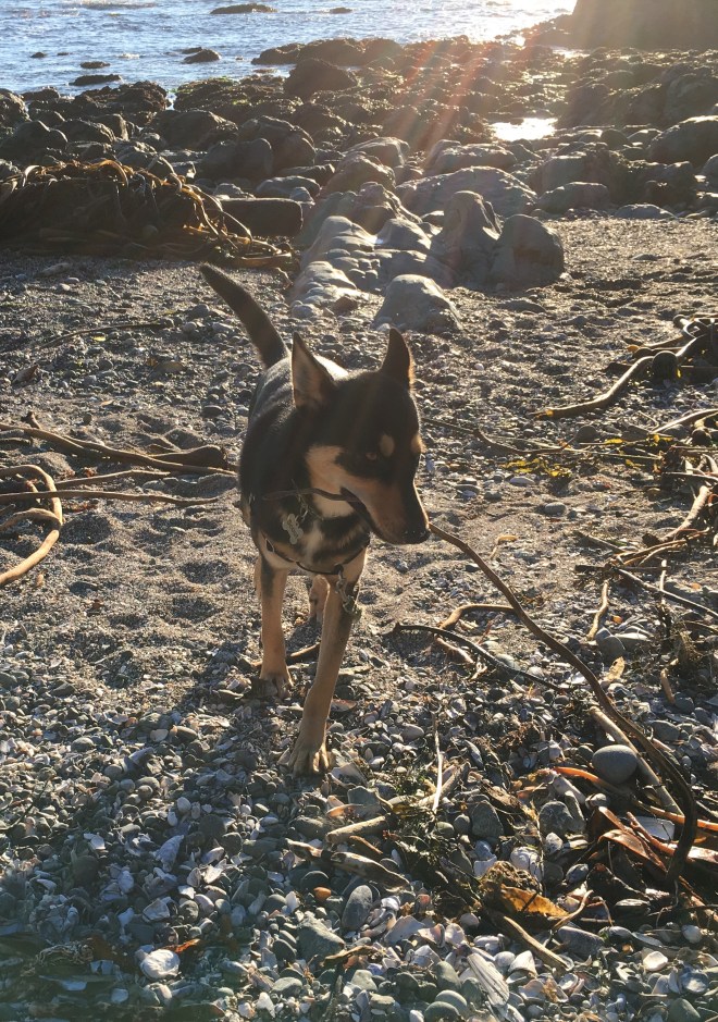 766B1EB1-C303-4B36-B3DB-673BD0211B55