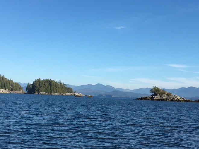 76E26FAB-5F6A-4930-BA95-D13A63E32EC4