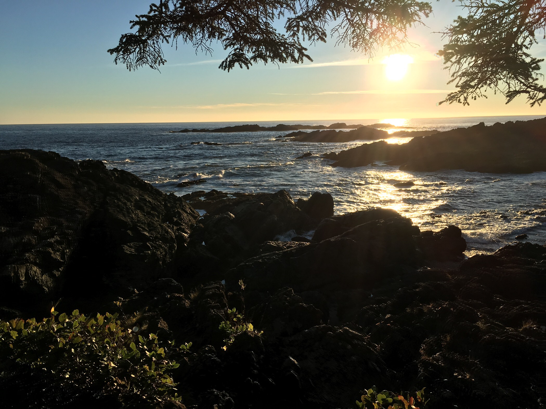 A58EE8A9-FCA4-4509-8ABF-5F8CE55164C1