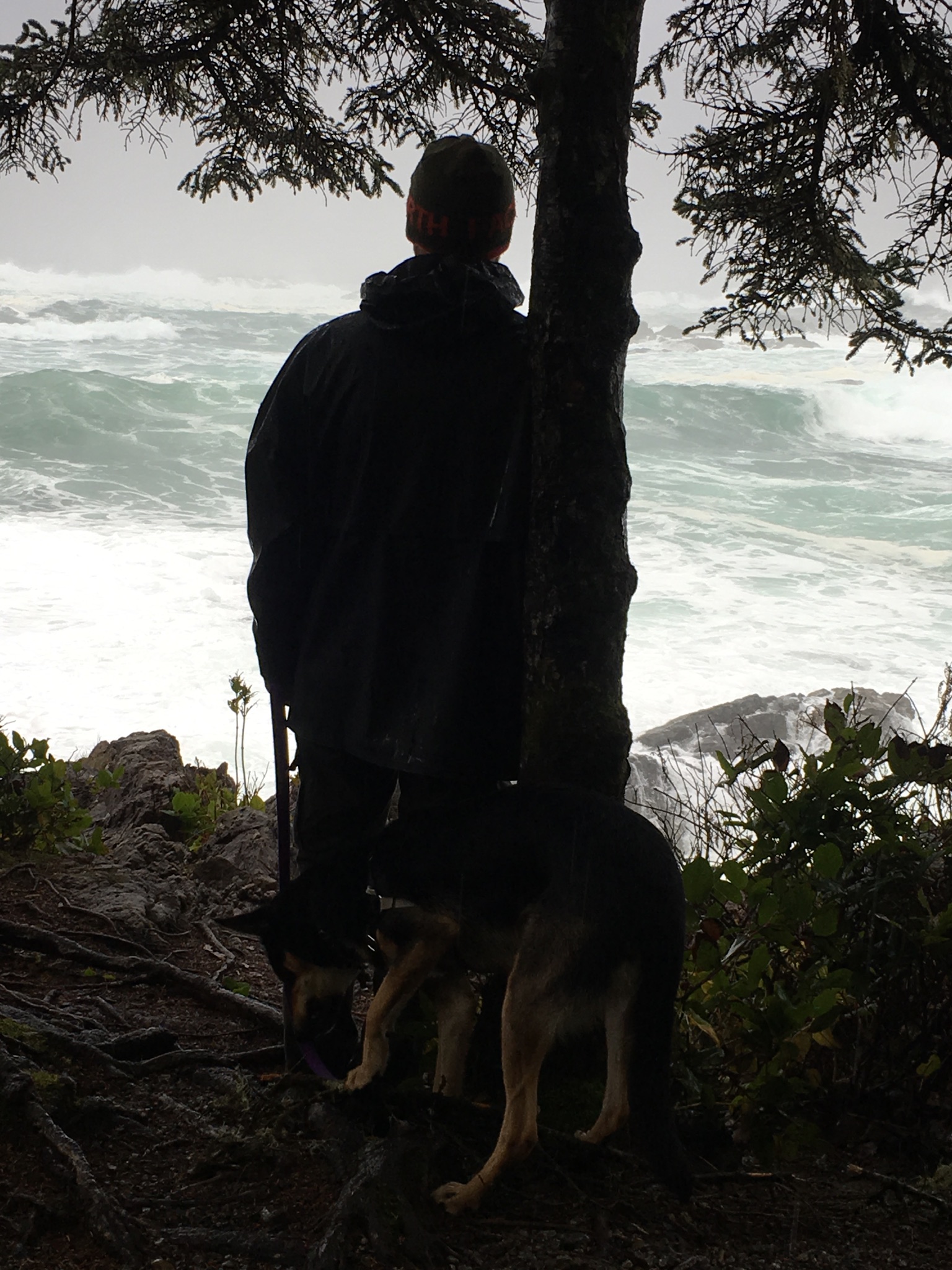 A7B6FF78-990C-403C-AE9E-2259656FA2AD