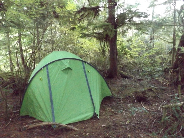 AD224C41-1280-4D11-B5D0-24F5768ABF9B