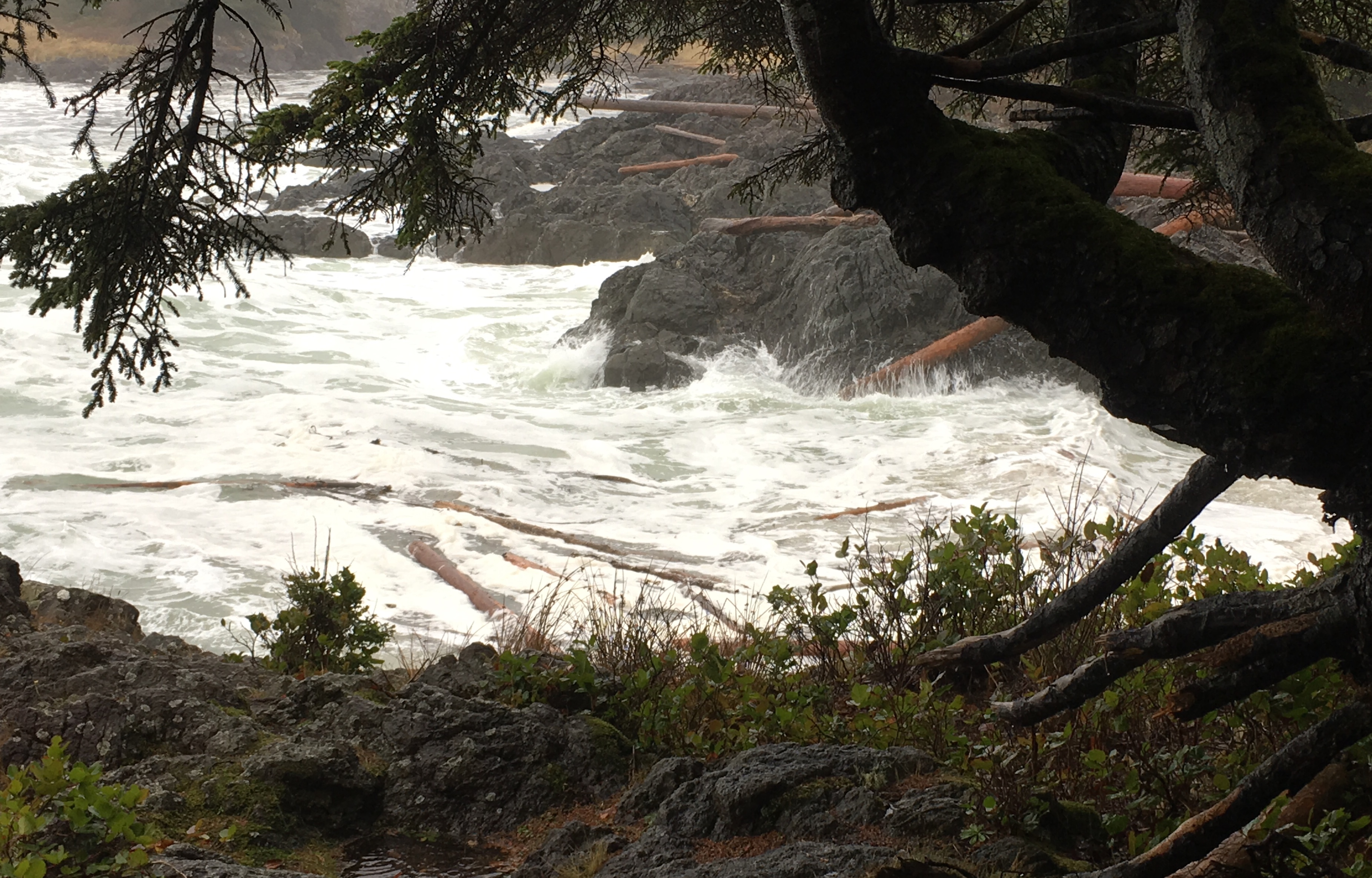 B044F2D9-8688-4324-B8FF-05A02E16D2DF