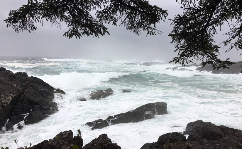 The storm after the&nbsp;calm