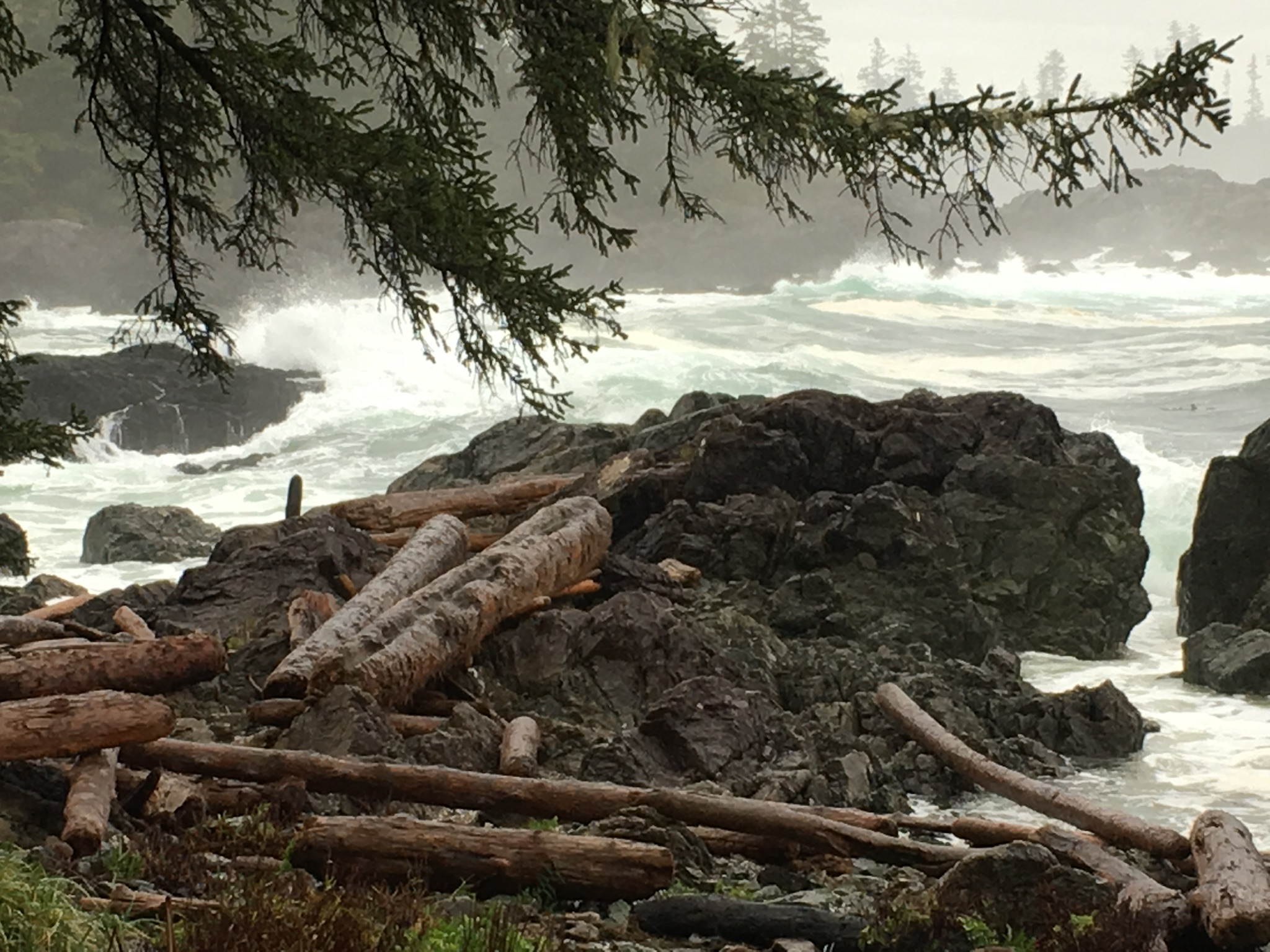 E632E49C-1F86-49C9-9F39-CB13440B10B9