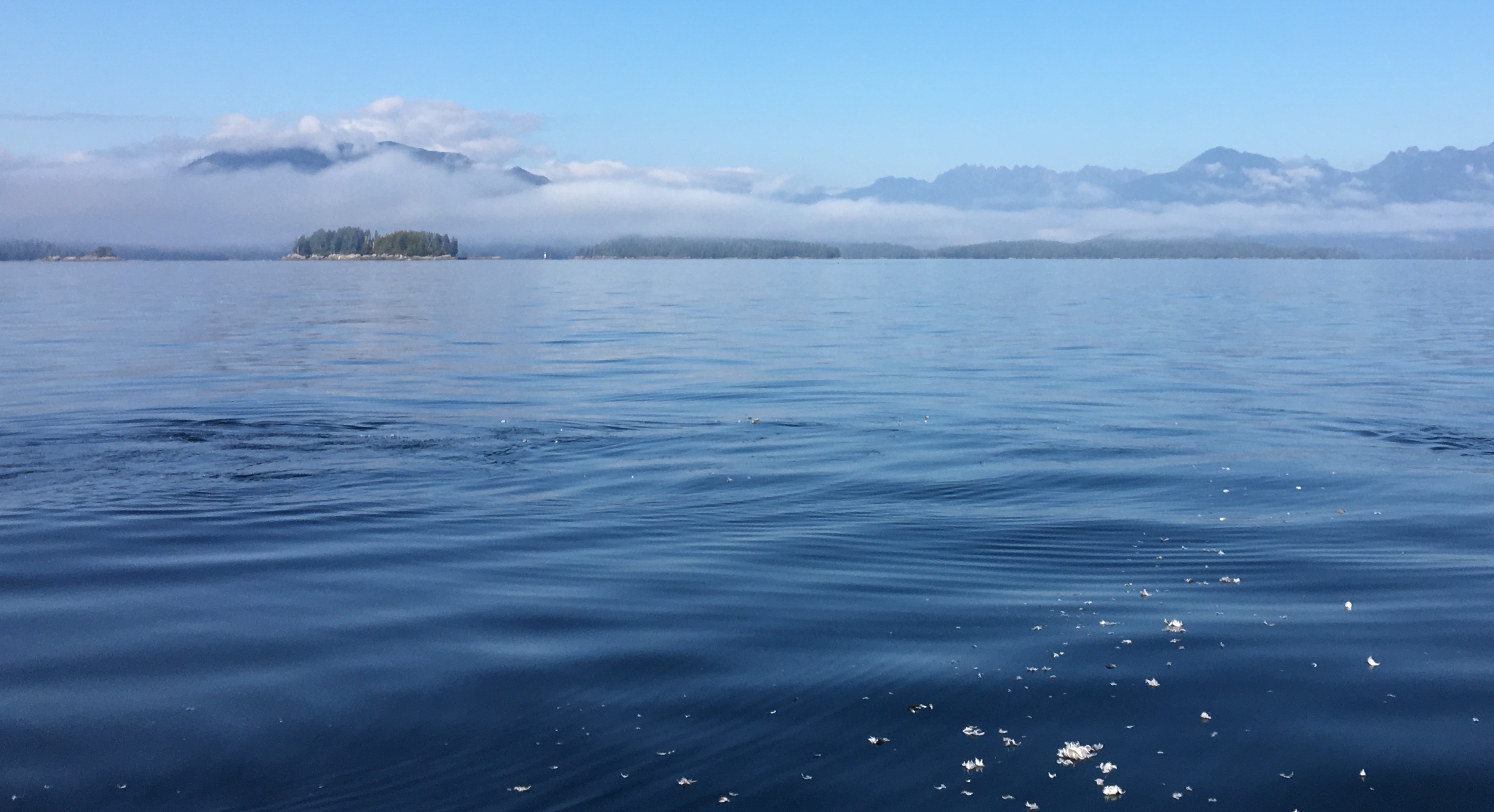 E837D851-68A5-4BED-9744-D7BBEB871897