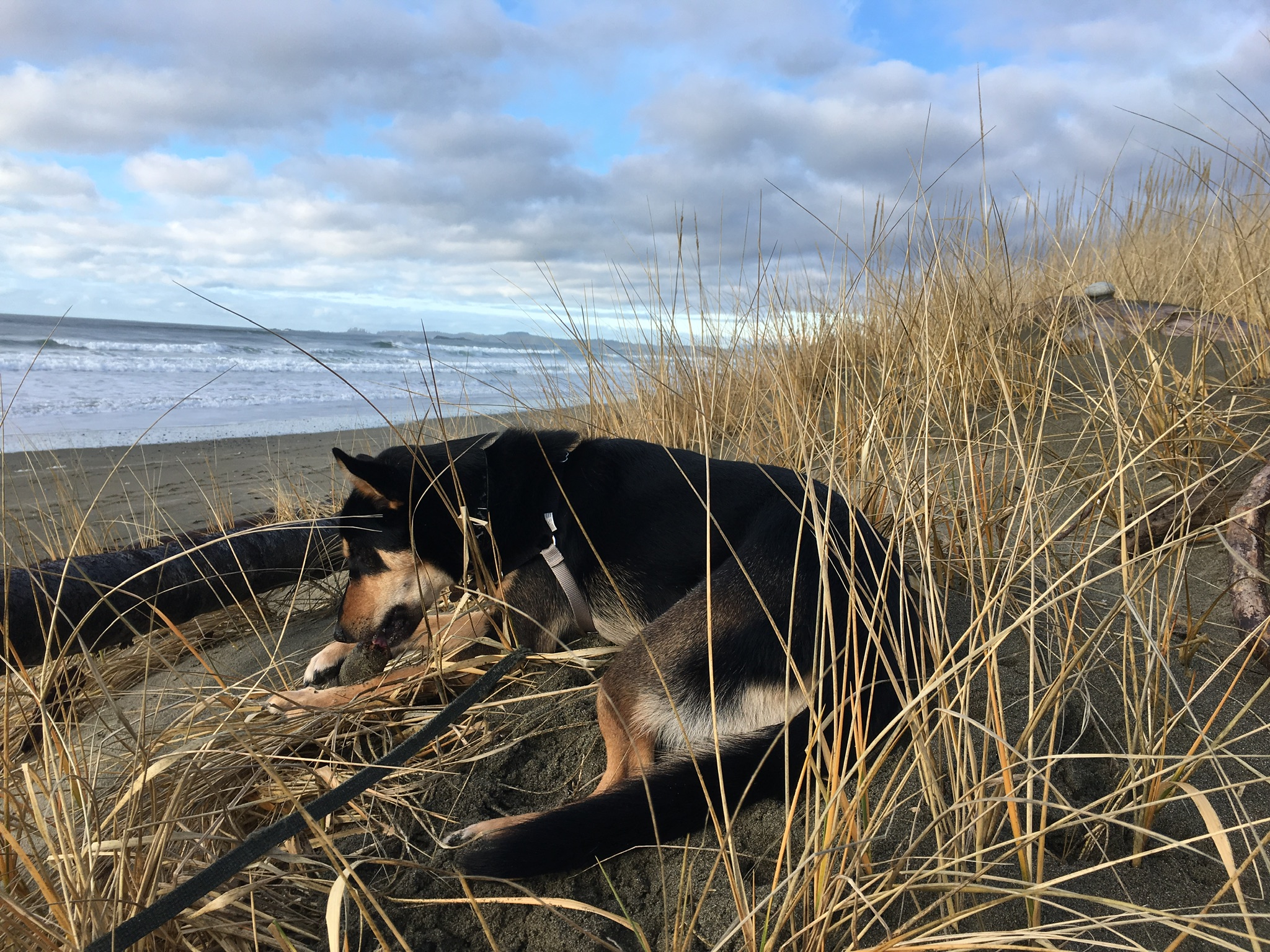 30A55BF7-3104-4343-9941-72421587796C