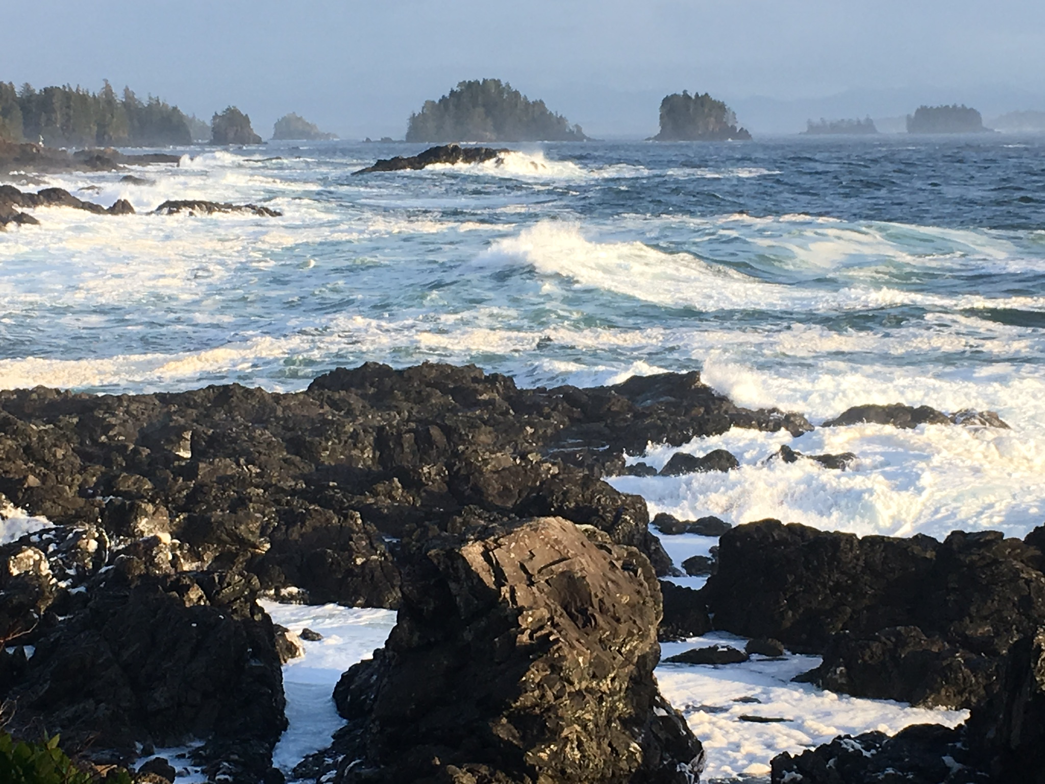 B1FDA23B-5719-4A5C-9C94-376F7C209E13