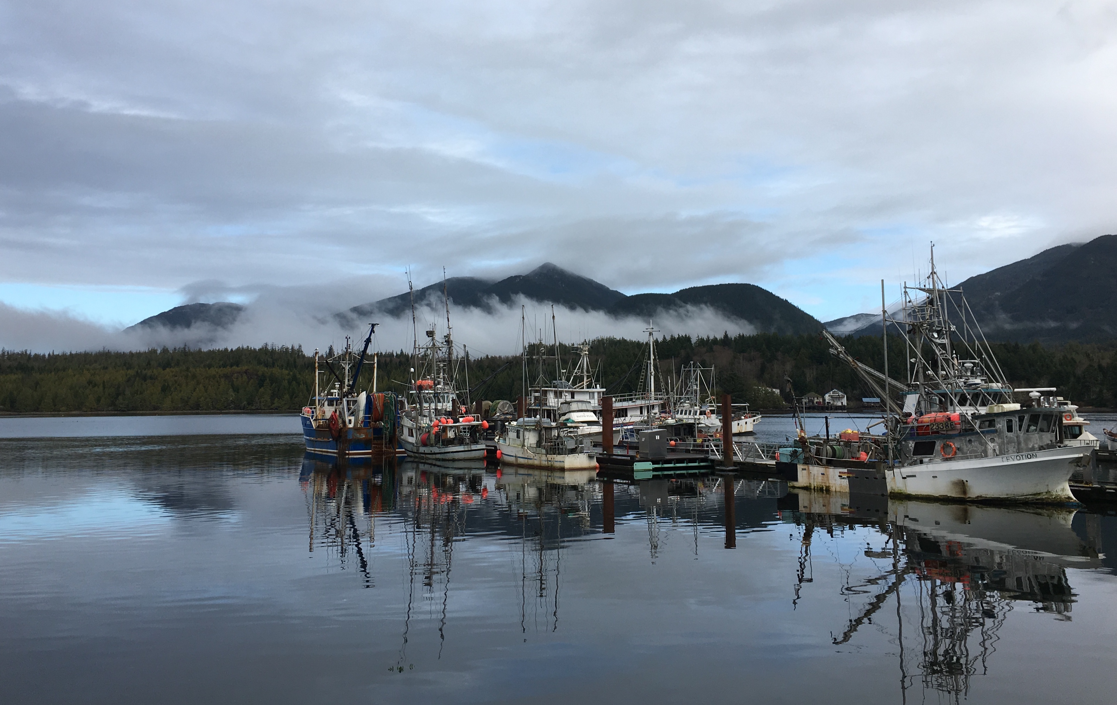 C0CC3AA8-1209-4339-95C3-BD73103331E9