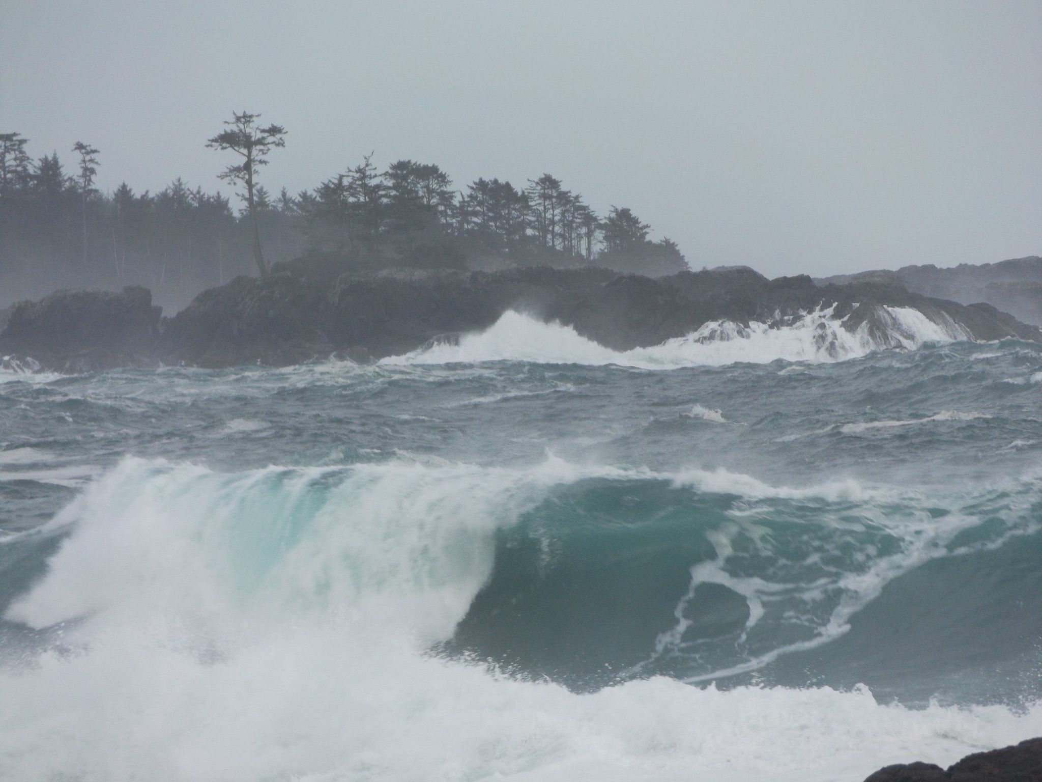 05208fb7-6556-409c-8ed7-e392c7eb123f