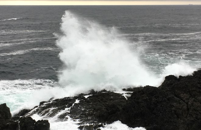 1a424bd6-ae0d-4bea-a918-068ba5b1895b